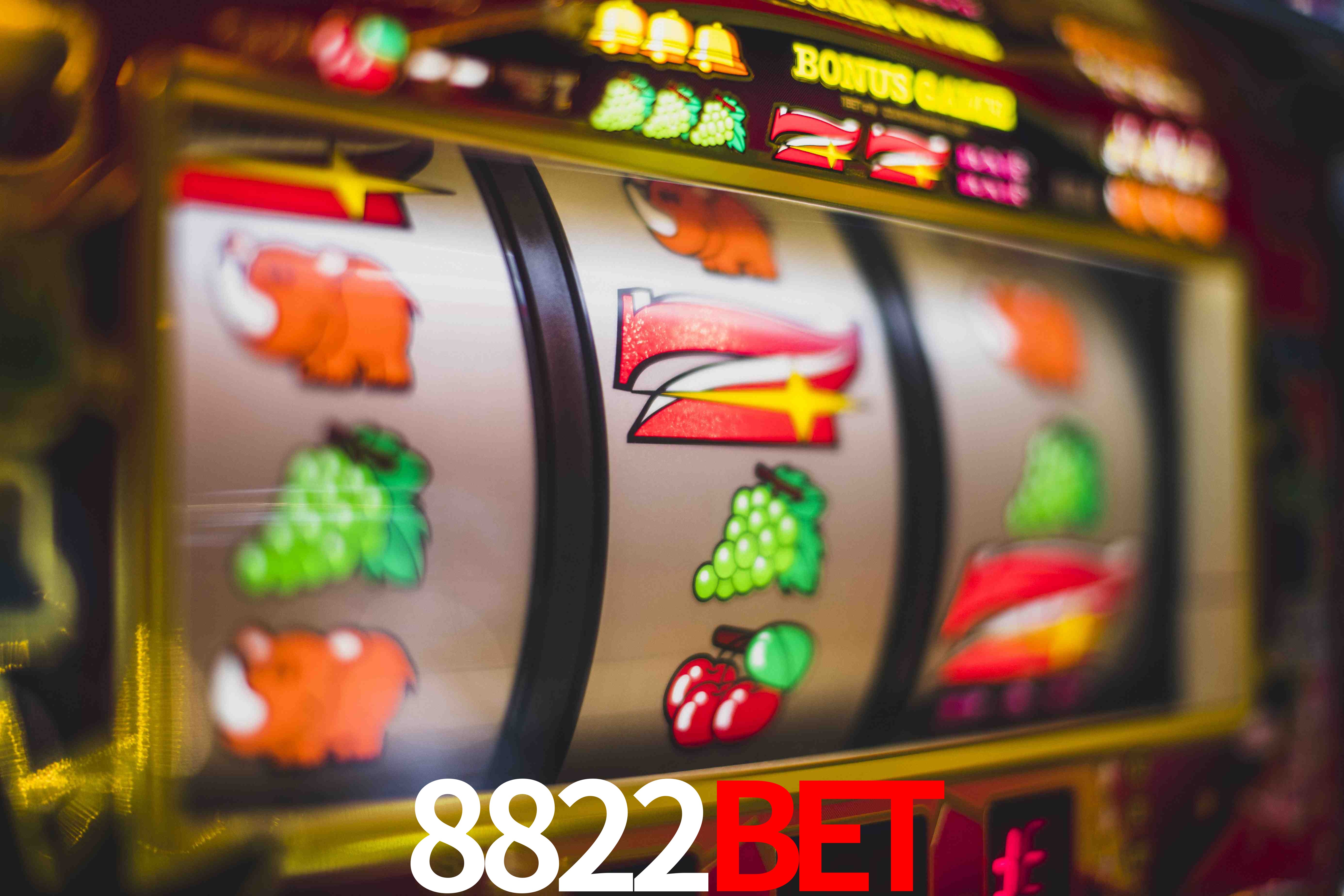 Experiência VIP 8822bet